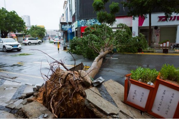 臺(tái)風(fēng)來(lái)臨時(shí)如何去防范